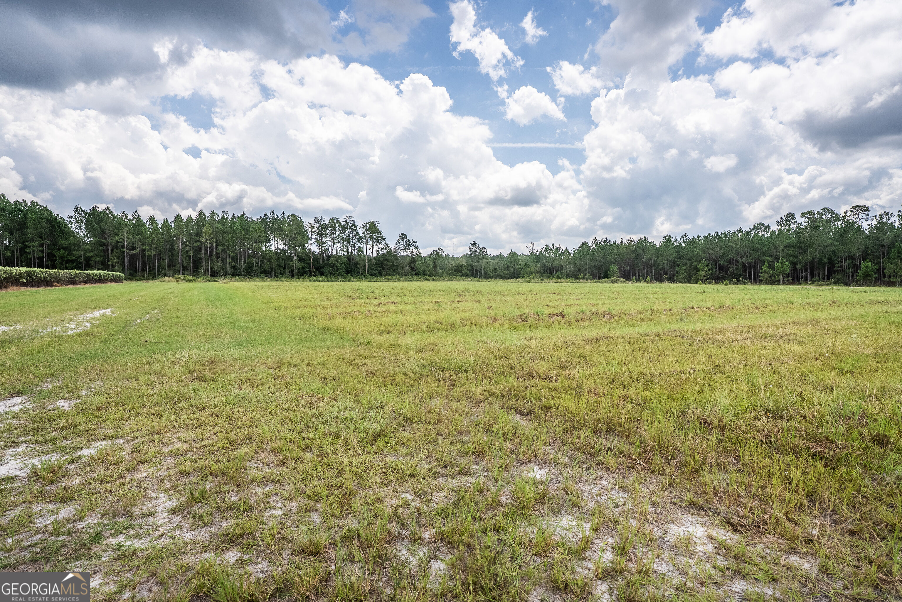 930 Old Surrency Road Baxley, GA 31513 - Photo 11 of 51 Gallery Image 11