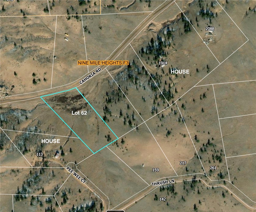 Tdb Cahokia Road Hartsel, CO 80449 - Photo 4 of 5 Lot 62 GIS