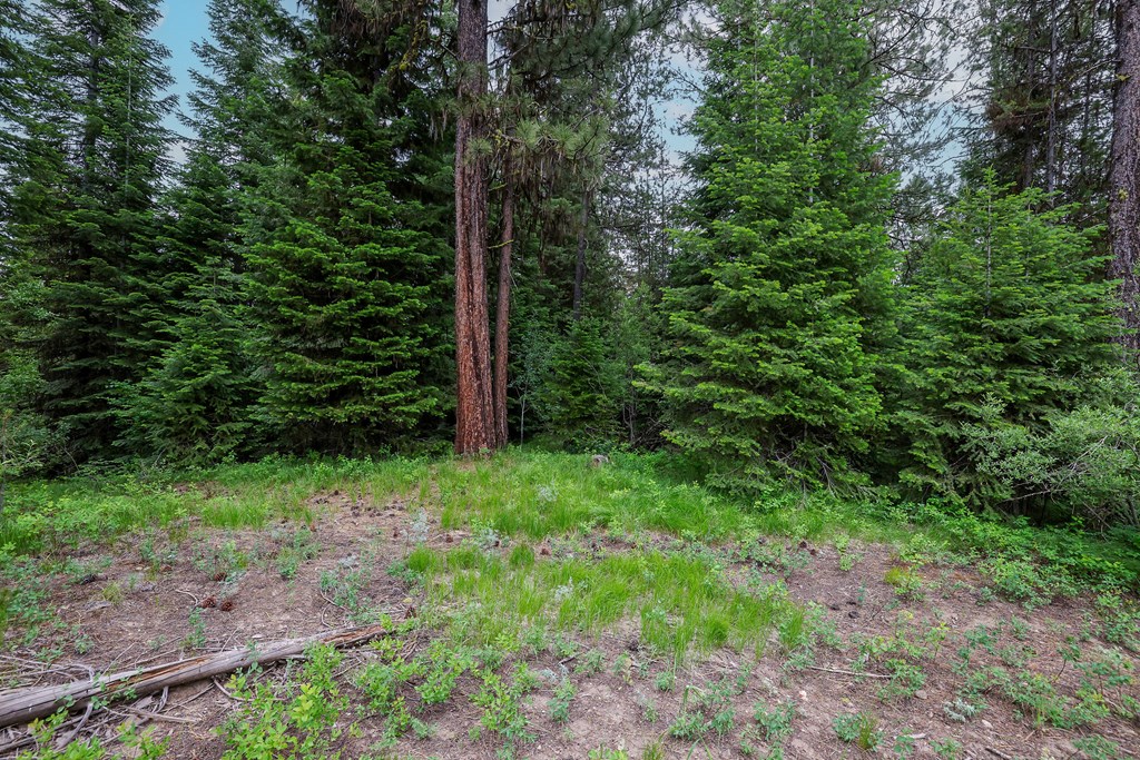 431 Timbercrest Loop, Unit 4 McCall, ID 83638 - Photo 11 of 28