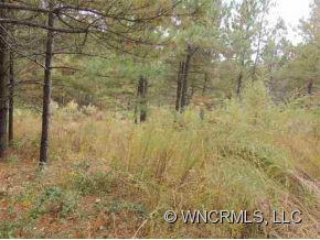 222 Bitterroot Circle Rutherfordton, NC 28139 - Photo 3 of 4