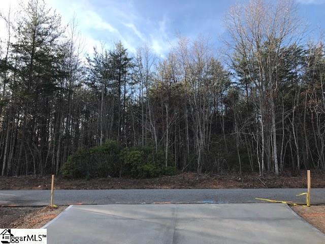 134 Good Road Landrum, SC 29356 - Photo 36 of 36