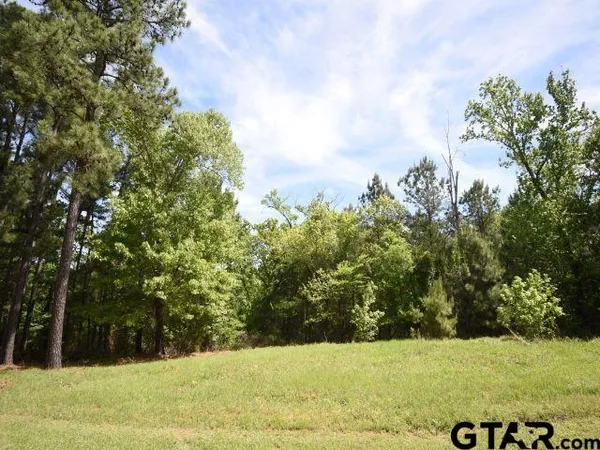 $179,000 | Lot 37 Acr 453, Montalba, TX 75853