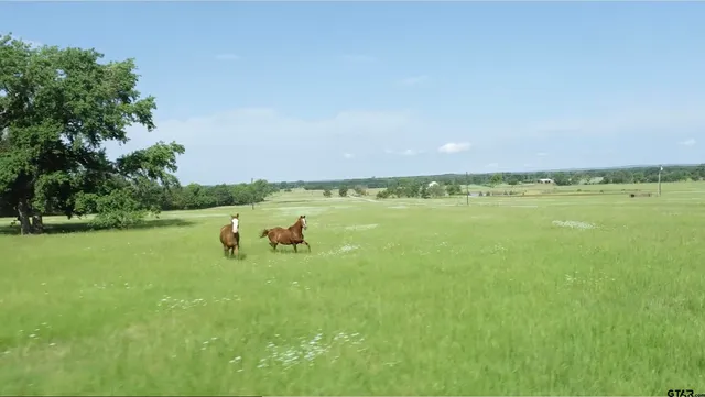 $179,000 | Lot 37 Acr 453, Montalba, TX 75853