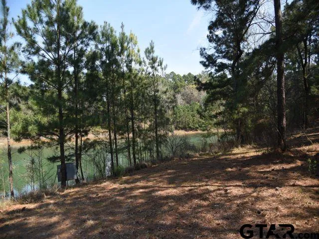 $179,000 | Lot 37 Acr 453, Montalba, TX 75853