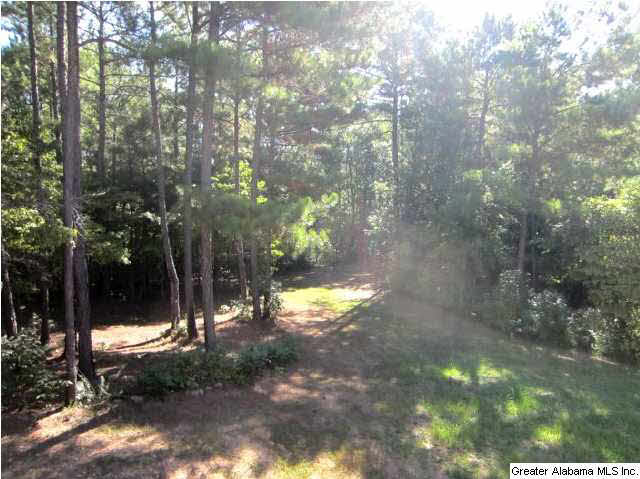 3362 Shady Grove Road Goodwater, AL 35072 - Photo 24 of 30