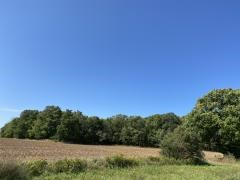 Tbd Mann Road Sturgeon Bay, WI 54235 - Photo 2 of 2 Gallery Image 2
