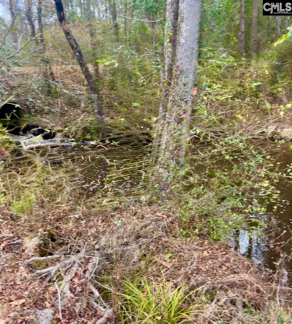 1717 Dixired Road Leesville, SC 29070 - Photo 8 of 15