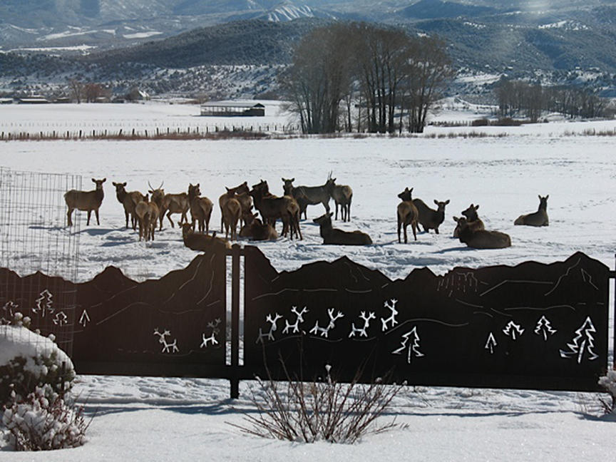 771 Cnty Road Ridgway, CO 81432 - Photo 40 of 68 Frequent Visitors