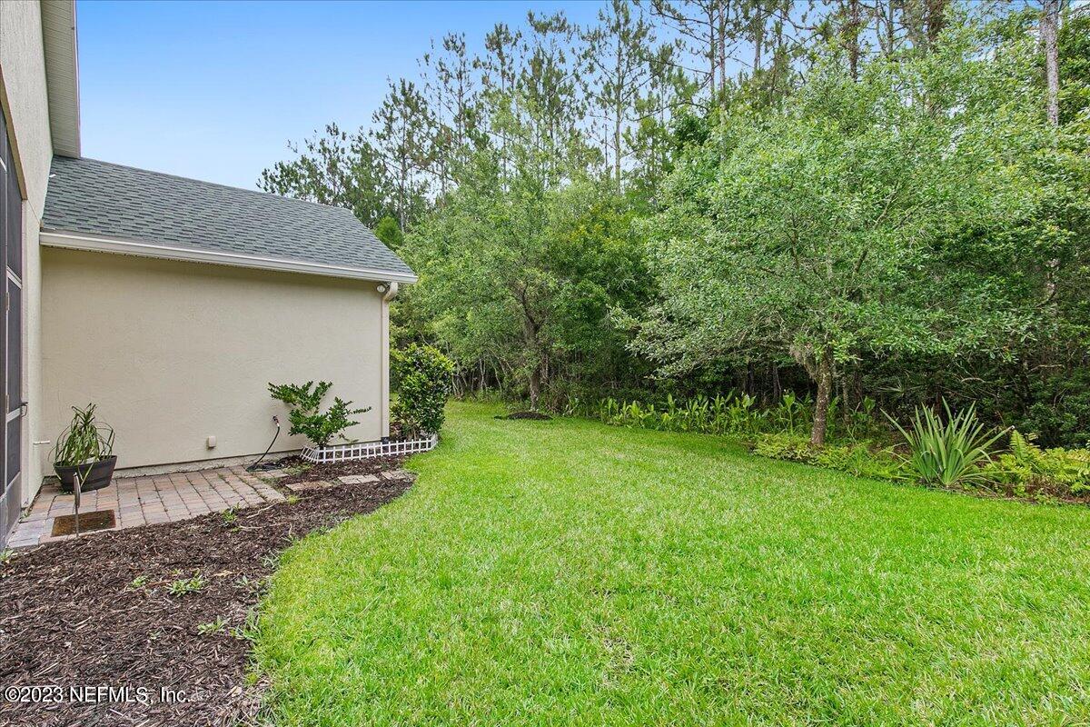 694 Copperhead Circle St. Augustine, FL 32092 - Photo 24 of 27 a backyard of a house with plants and large tree