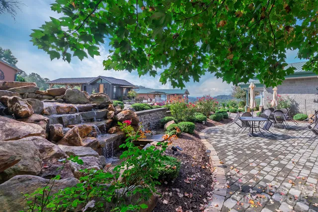 a view of a backyard with plants and a garden