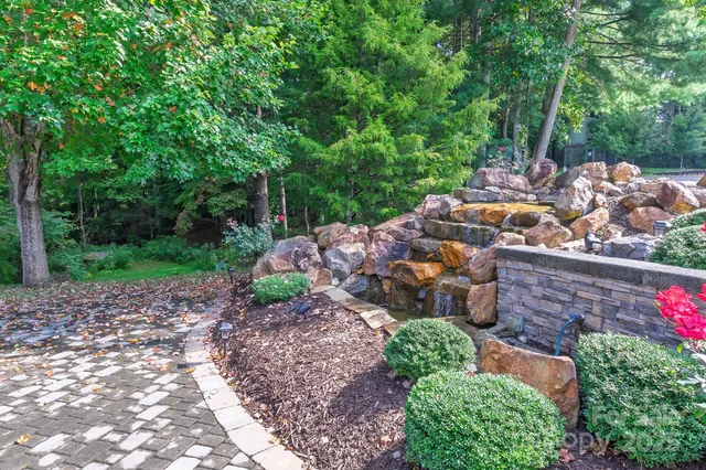 a view of a backyard with plants and outdoor seating