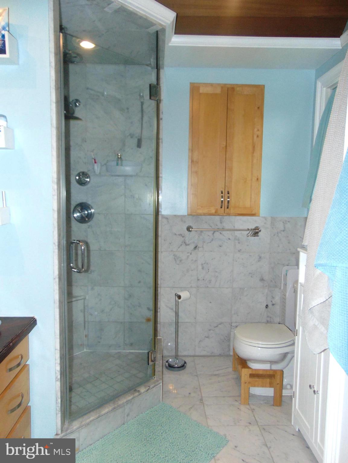 17 Winding Way Road Stratford, NJ 08084 - Photo 24 of 32 Master Bath with wood barreled ceiling