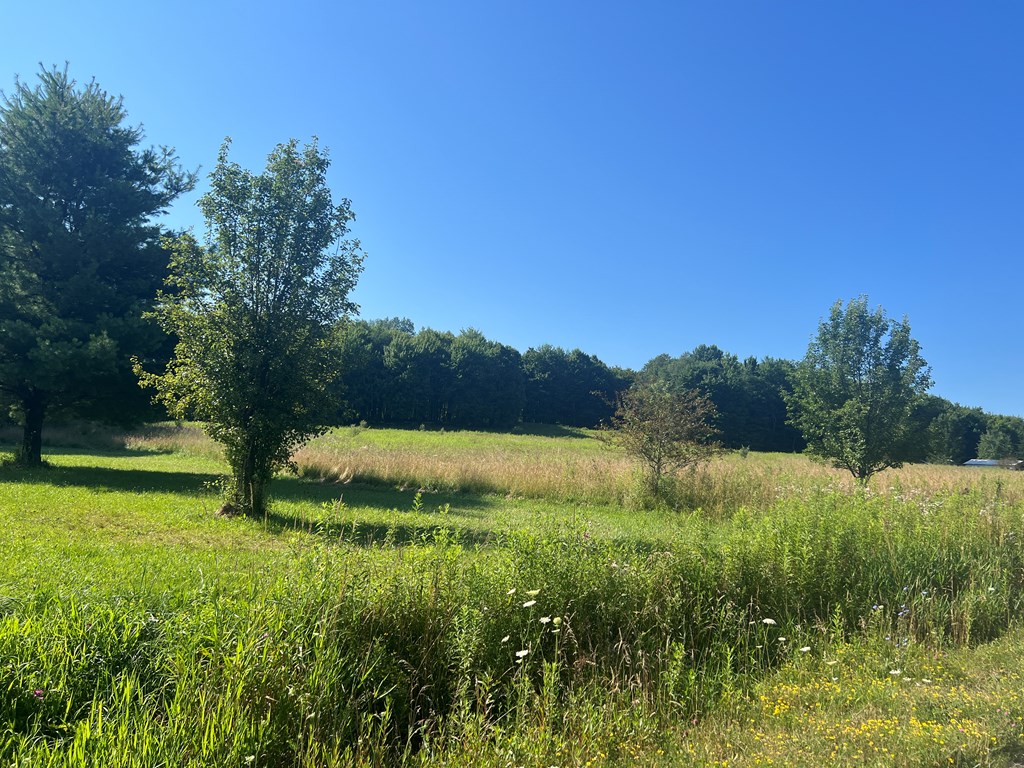 0 Old Rte 8 Grove City, PA 16127 - Photo 6 of 6