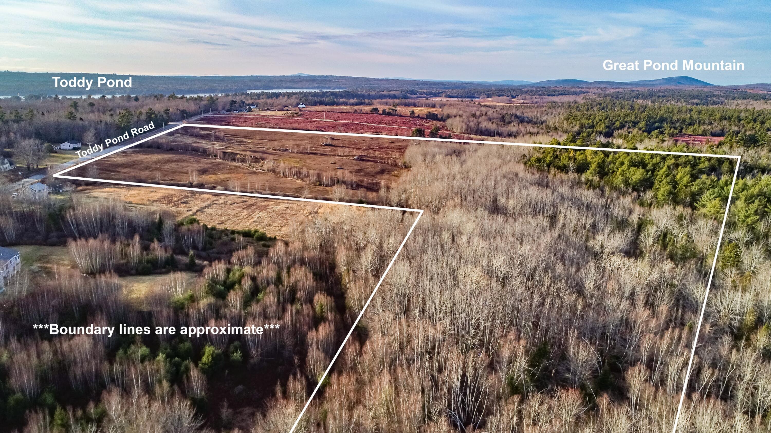 Lot 5 Toddy Pond Road Surry, ME 04684 - Photo 2 of 4 Toddy Pond Road Land TP Aerials-2