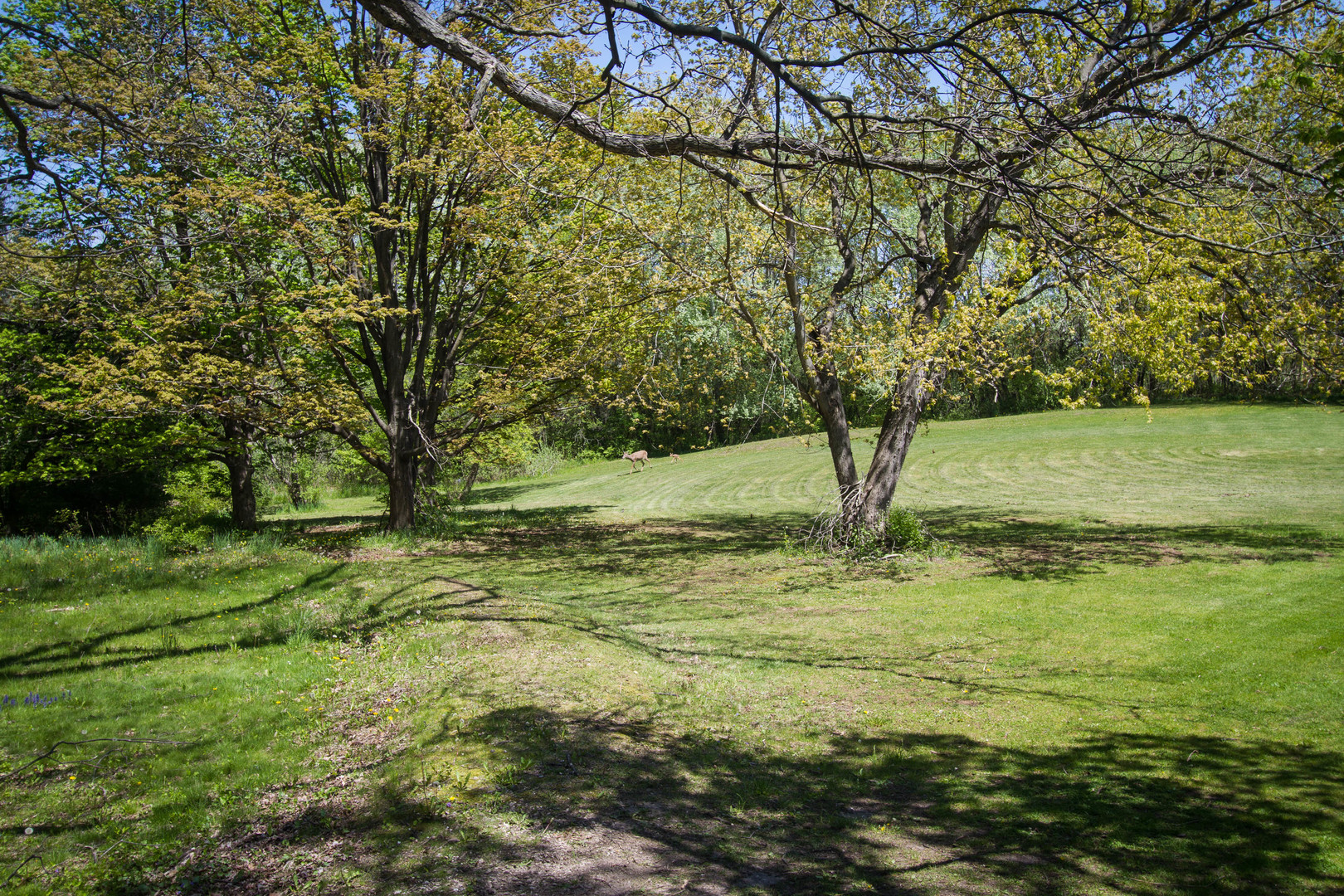 4317 Willowbrook Road Long Grove, IL 60047 - Photo 1 of 3