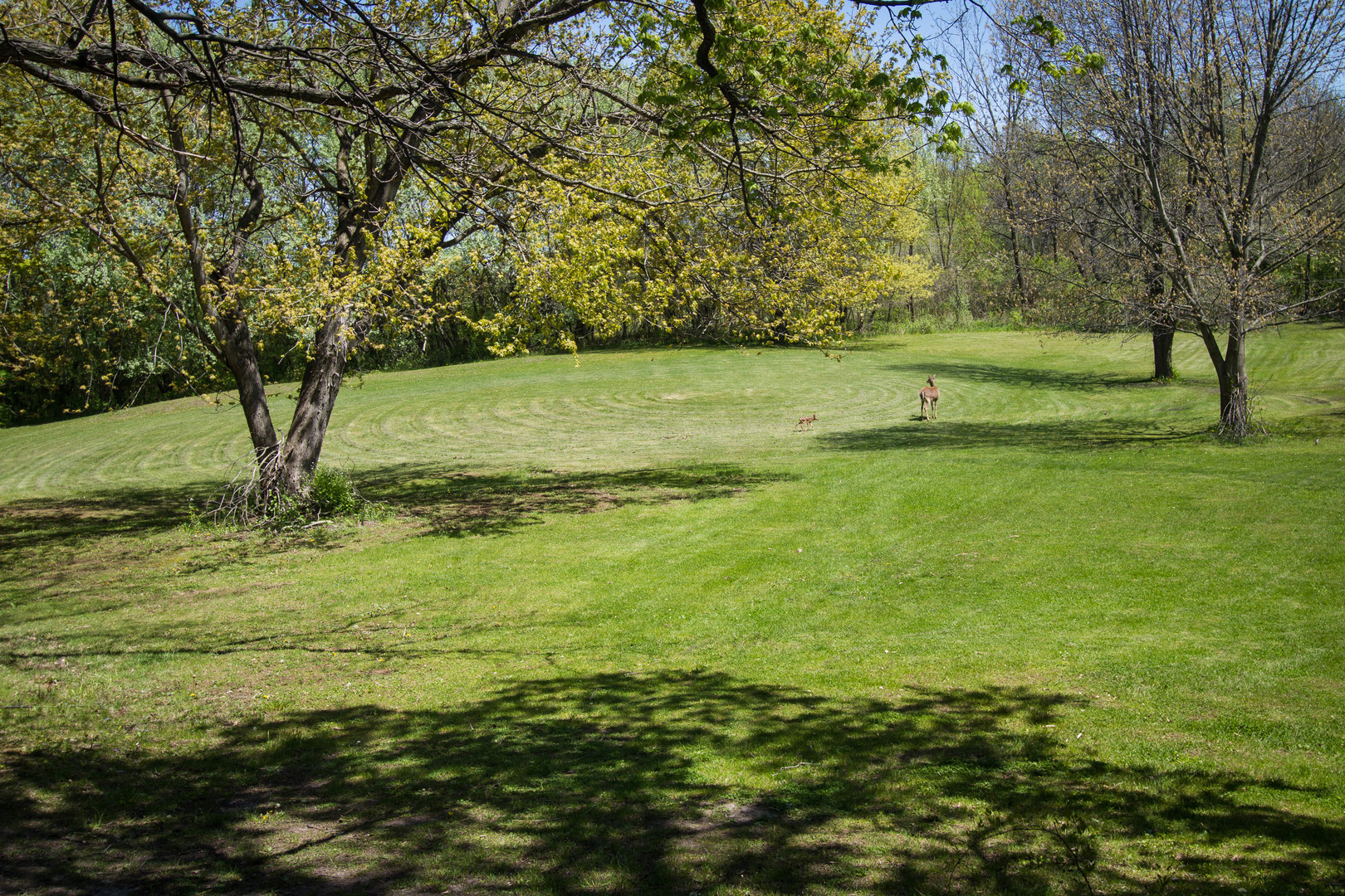 4317 Willowbrook Road Long Grove, IL 60047 - Photo 2 of 3