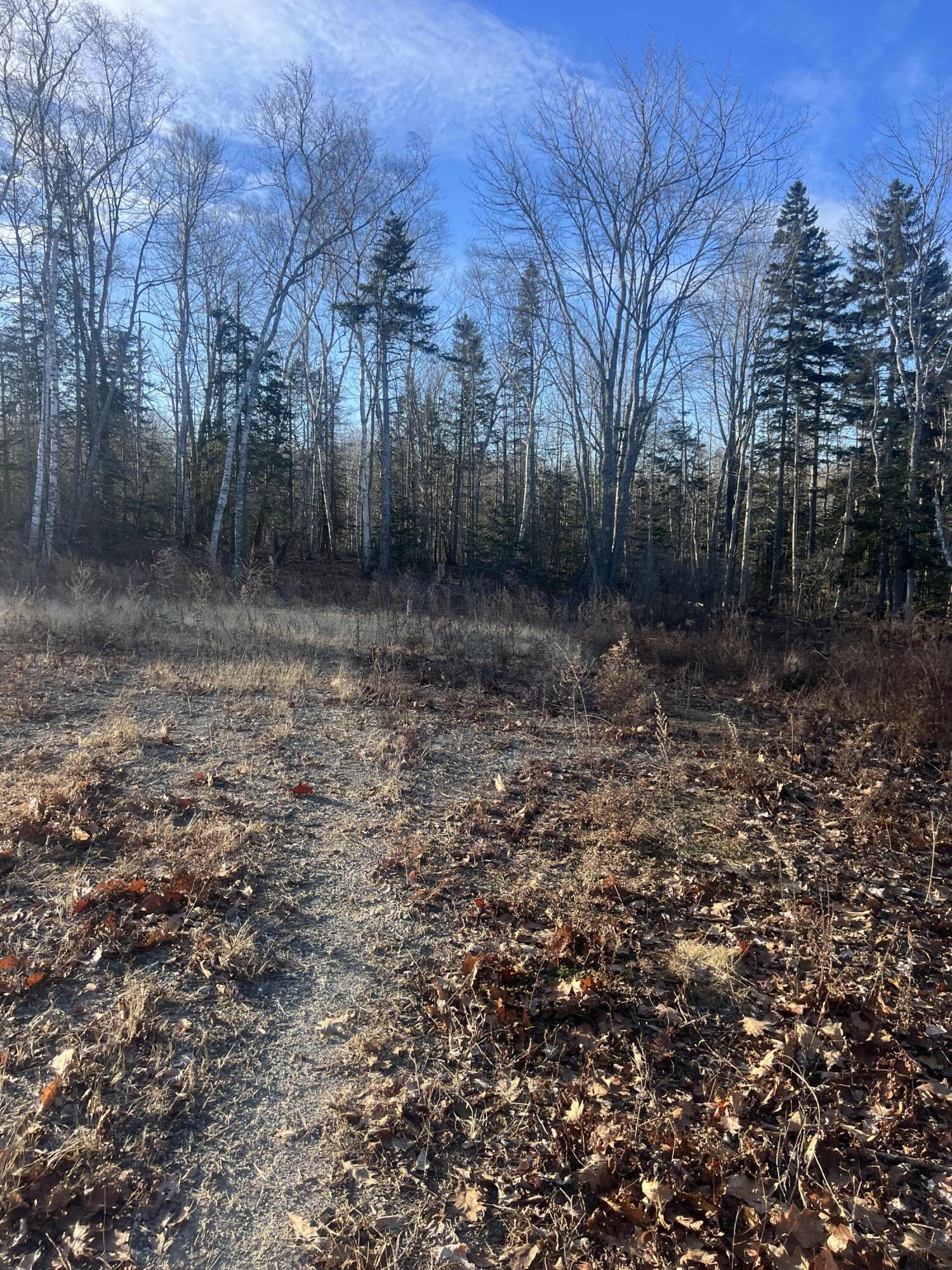 52 Ledge Road South Thomaston, ME 04858 - Photo 8 of 16 IMG_2095