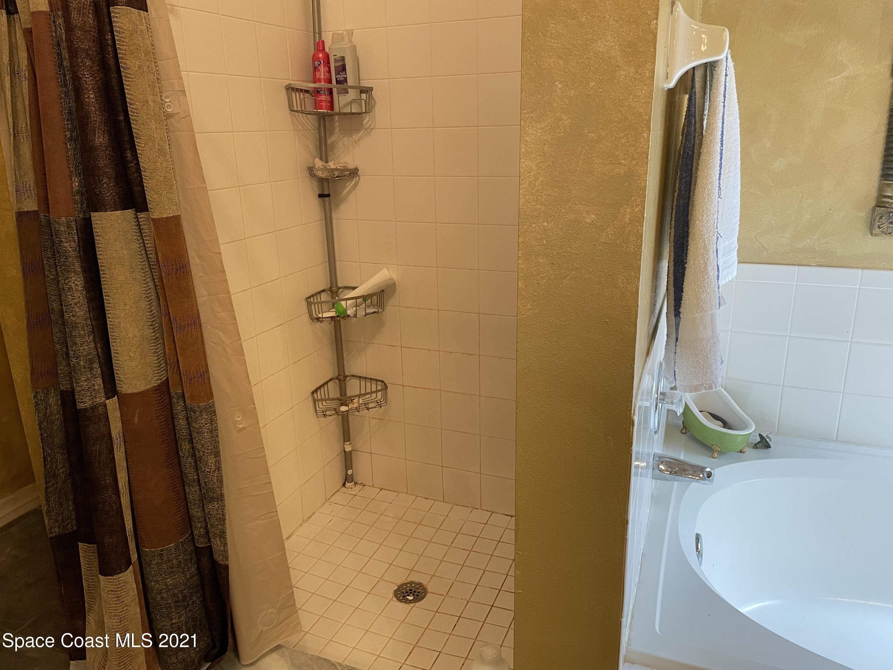 751 Becker Avenue Northeast Palm Bay, FL 32905 - Photo 12 of 20 Master Bath and Shower