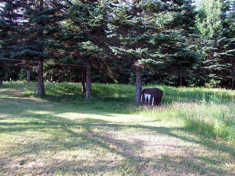 348 Skagrock Road Haynesville, ME 04497 - Photo 10 of 35 Land.