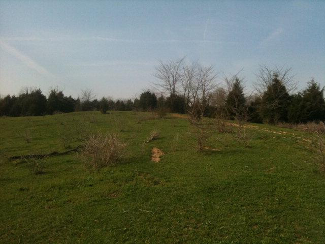 797 Stoney Run Road Richmond, KY 40475 - Photo 3 of 34 Photo 3