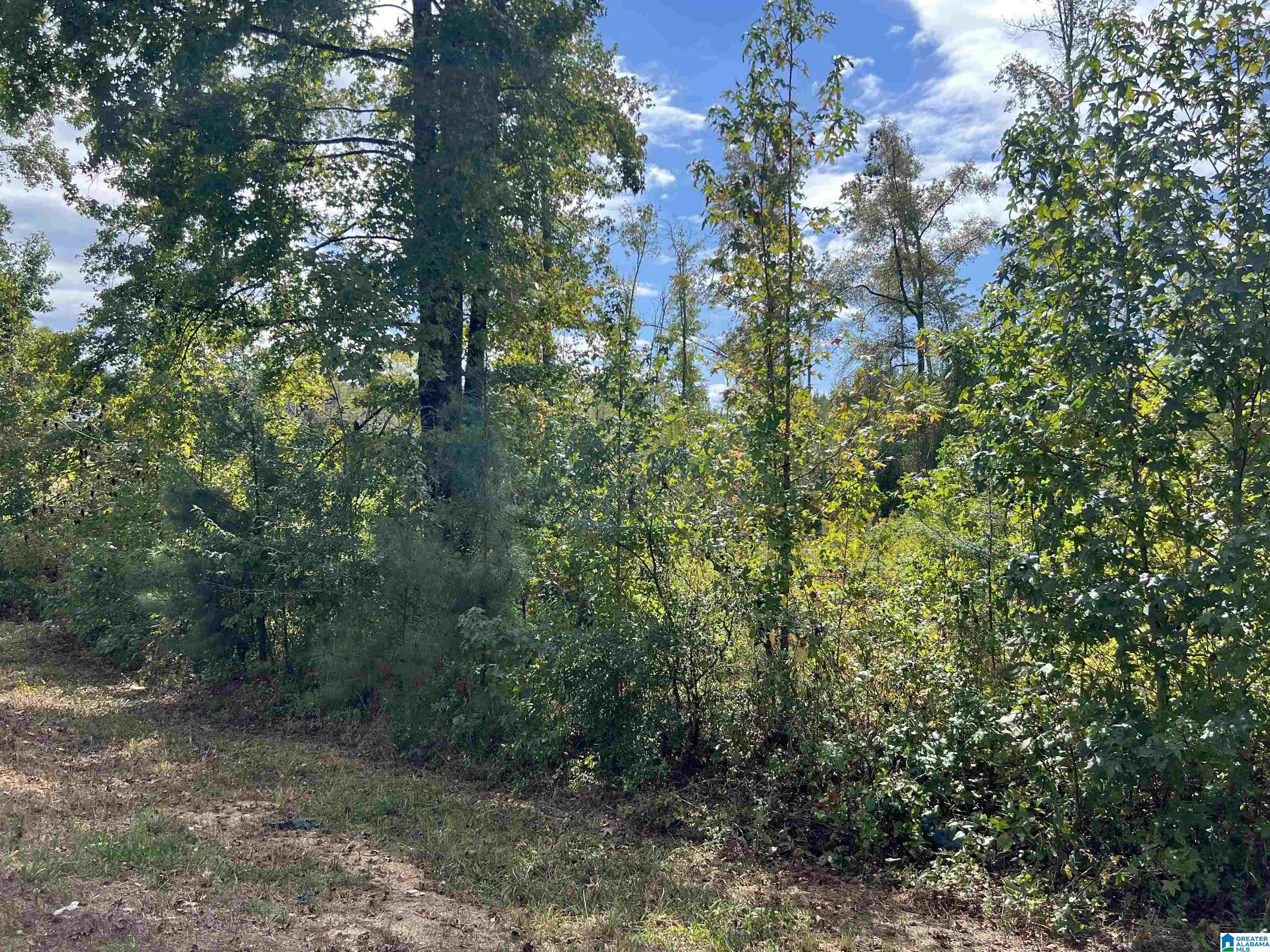 1510 Mooney Road, Unit 18A Columbiana, AL 35051 - Photo 3 of 4