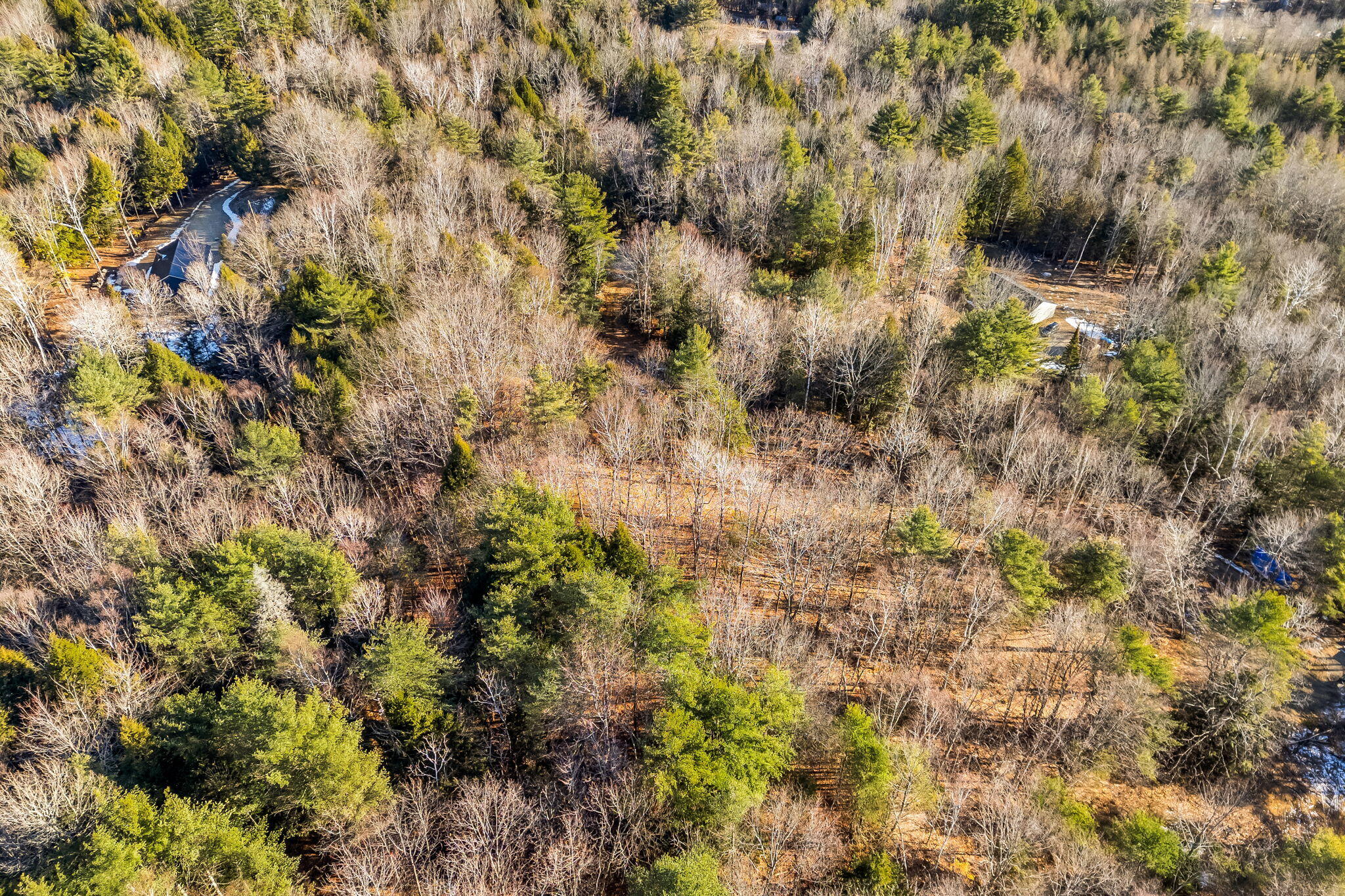 57 Deer Hill Road Wayne, ME 04284 - Photo 17 of 18 57 Deer Hill Rd