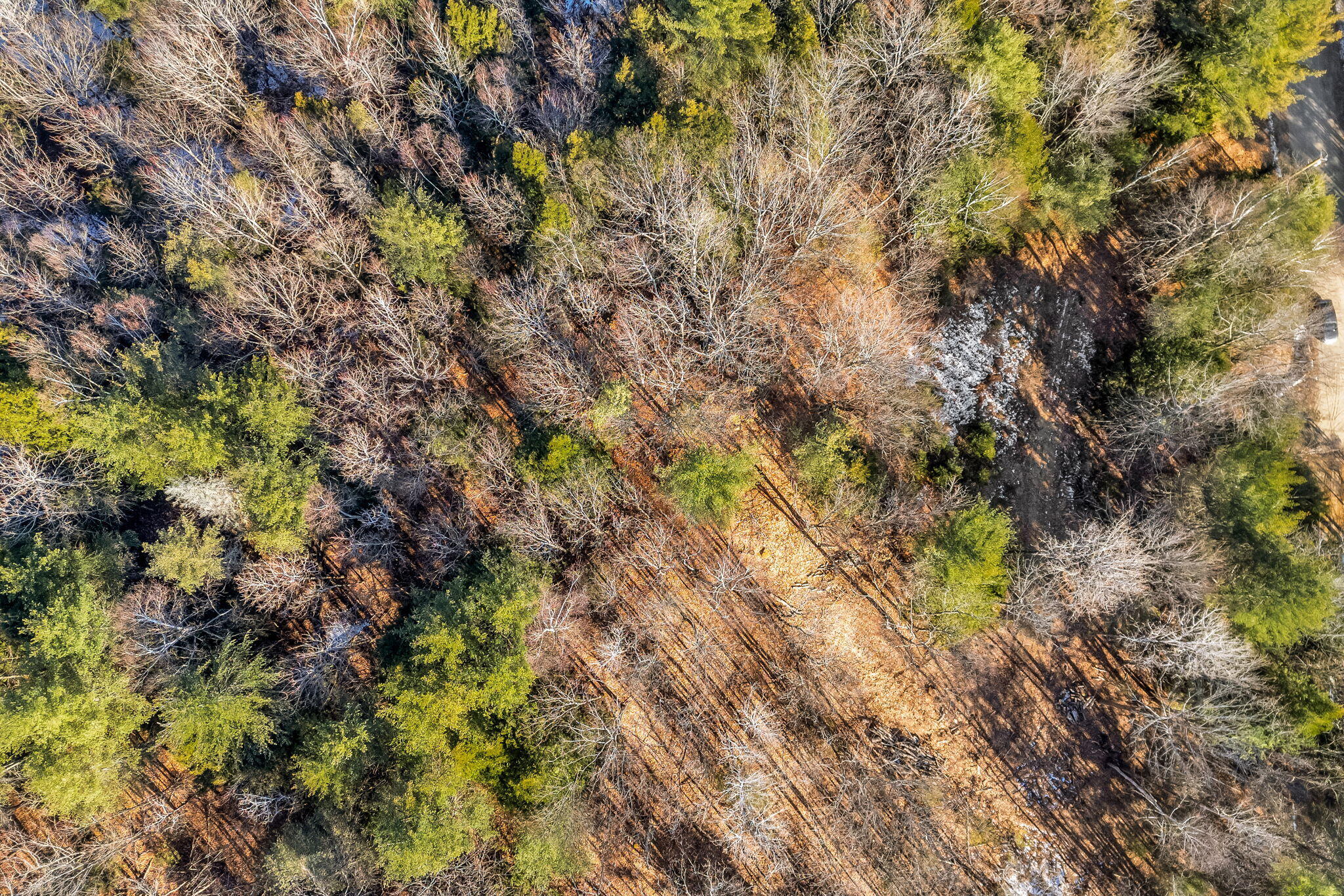 57 Deer Hill Road Wayne, ME 04284 - Photo 9 of 18 57 Deer Hill Rd