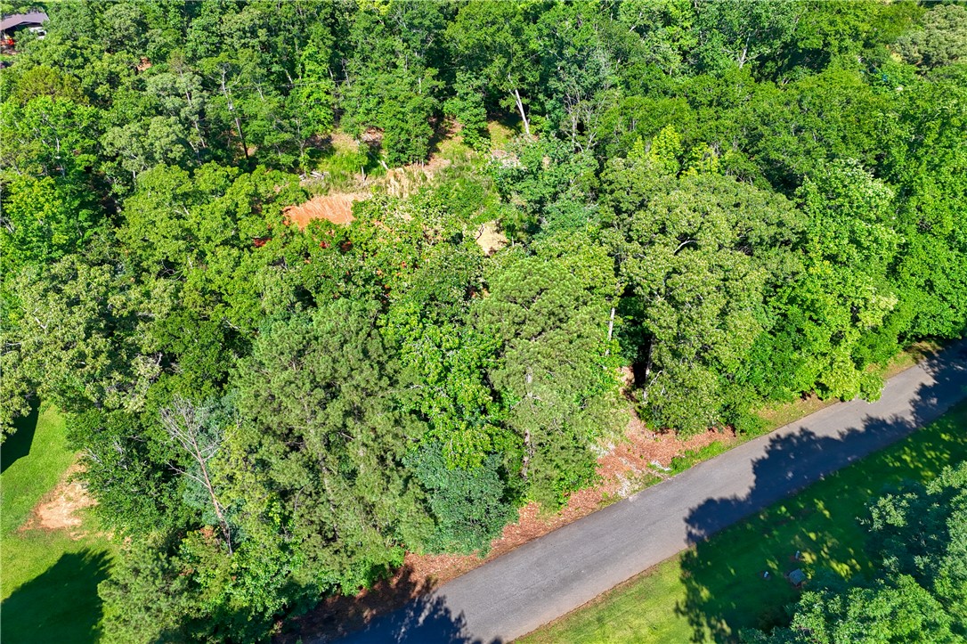 1020 Green Willow Trail Anderson, SC 29621 - Photo 8 of 28 A verdant, tree-lined lot offers an ideal setting for a secluded home.