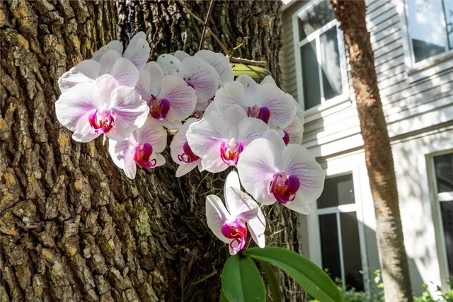 a view of a lake with a mountain