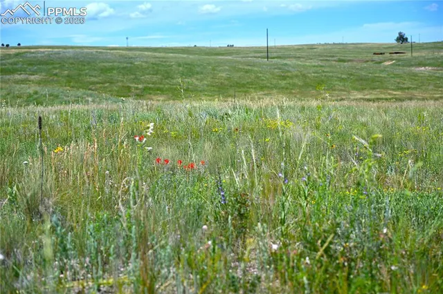 $775,000 | Lot 2 Steppler Road, Colorado Springs, CO 80908