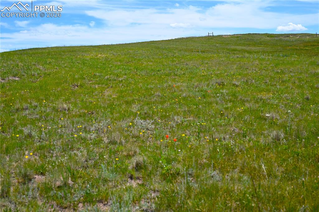 Lot 2 Steppler Road Colorado Springs, CO 80908 - Photo 45 of 49