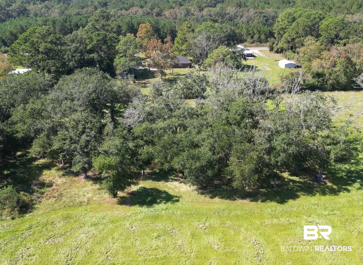 14313 Hemley Road Coden, AL 36523 - Photo 19 of 44 Bird's eye view