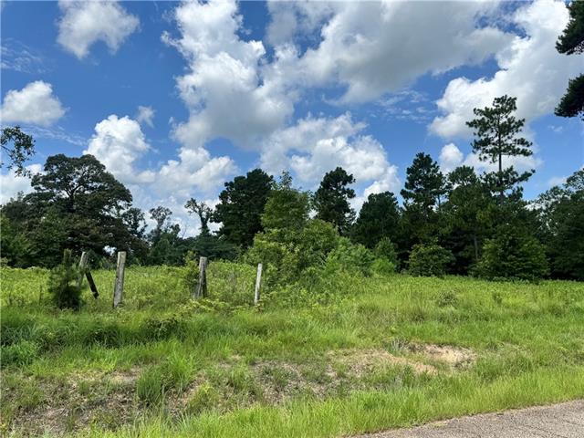 72045 South Lewiston Road Kentwood, LA 70444 - Photo 13 of 17