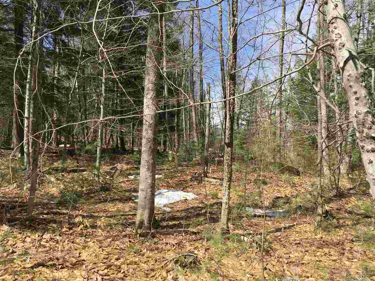 4 Moody Pond Road Ossipee, NH 03814 - Photo 35 of 39