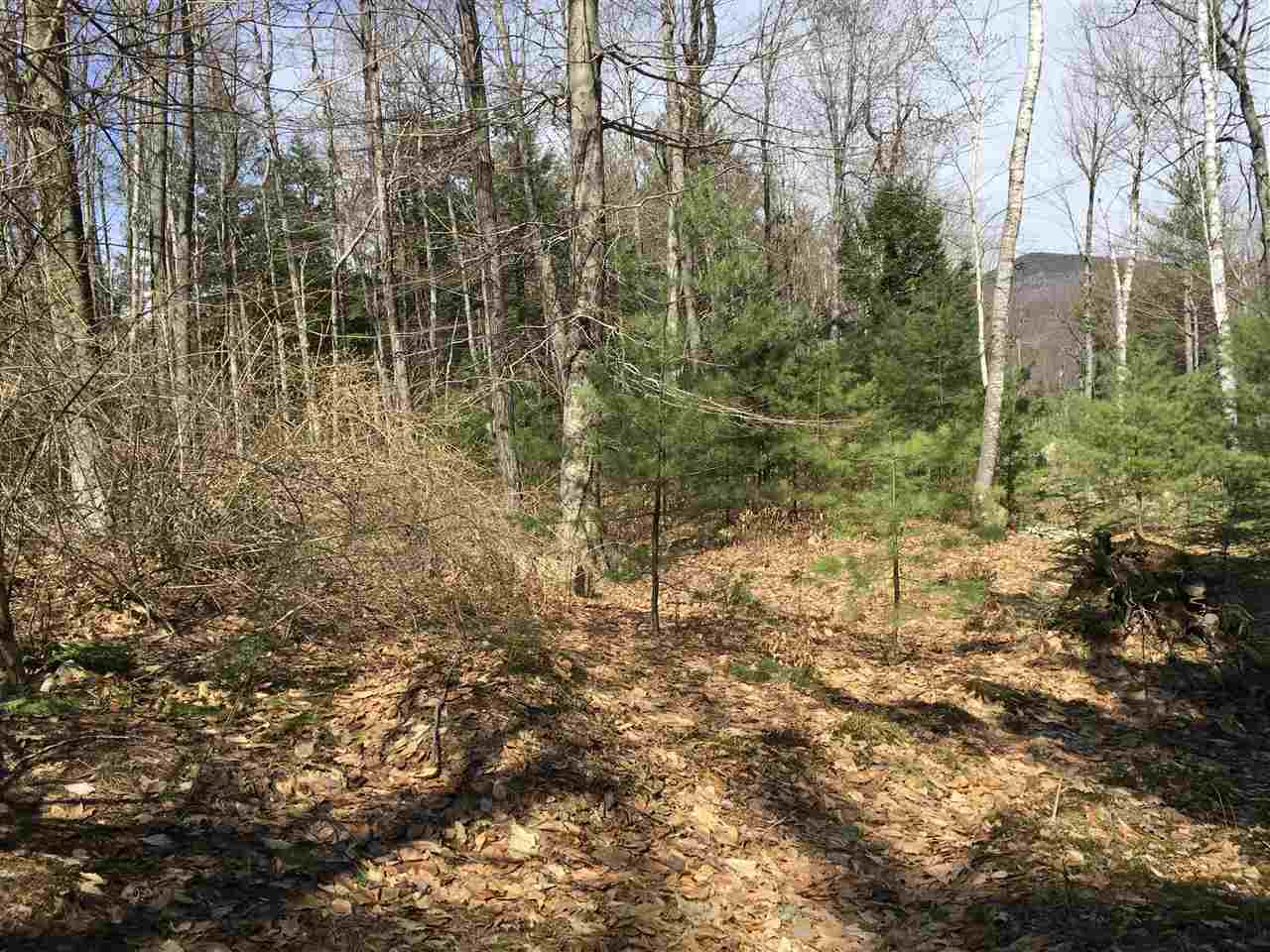 4 Moody Pond Road Ossipee, NH 03814 - Photo 37 of 39