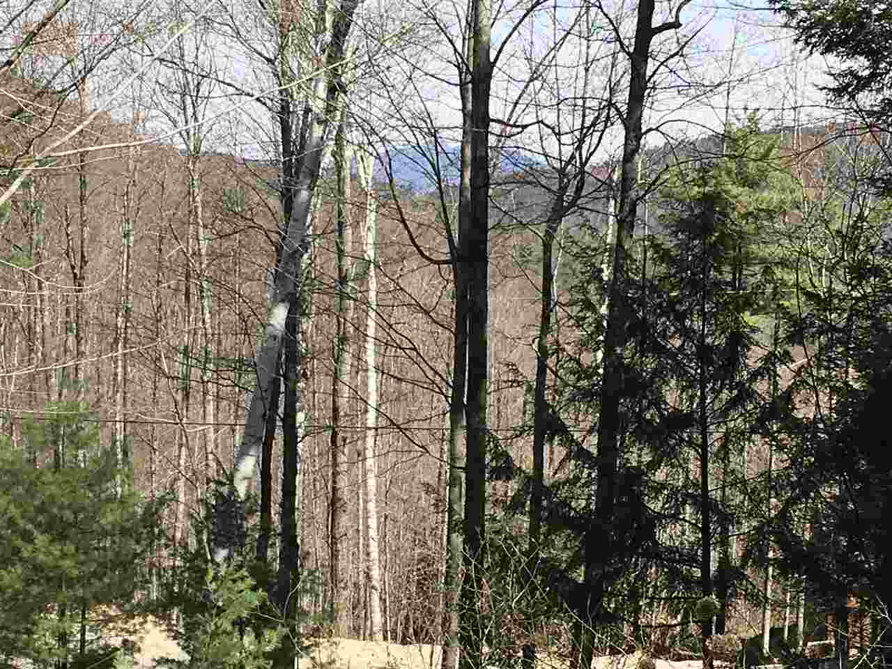 4 Moody Pond Road Ossipee, NH 03814 - Photo 39 of 39