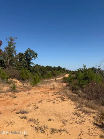 $288,360 | 65 Off Highway, Coffeeville, MS 38922