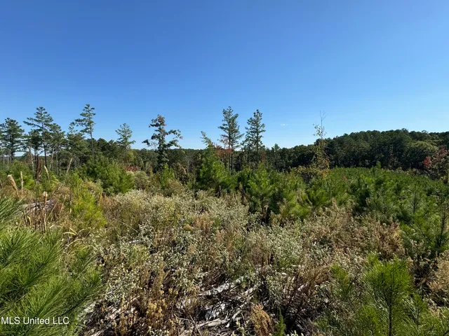 $288,360 | 65 Off Highway, Coffeeville, MS 38922