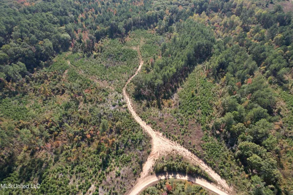 $288,360 | 65 Off Highway, Coffeeville, MS 38922