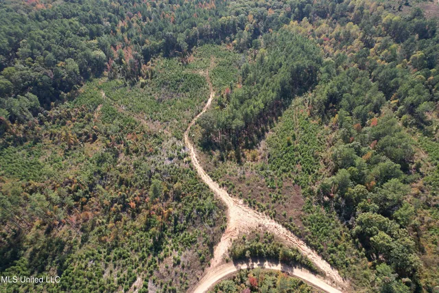 $288,360 | 65 Off Highway, Coffeeville, MS 38922