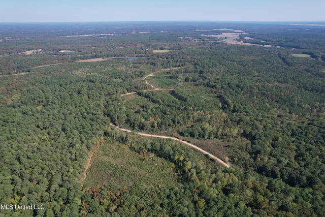 $288,360 | 65 Off Highway, Coffeeville, MS 38922