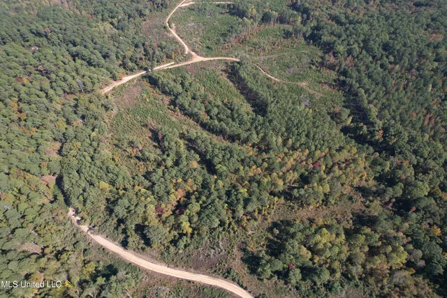 $288,360 | 65 Off Highway, Coffeeville, MS 38922