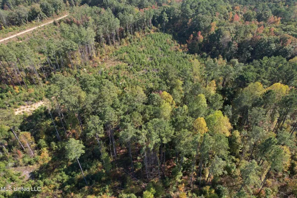 $288,360 | 65 Off Highway, Coffeeville, MS 38922