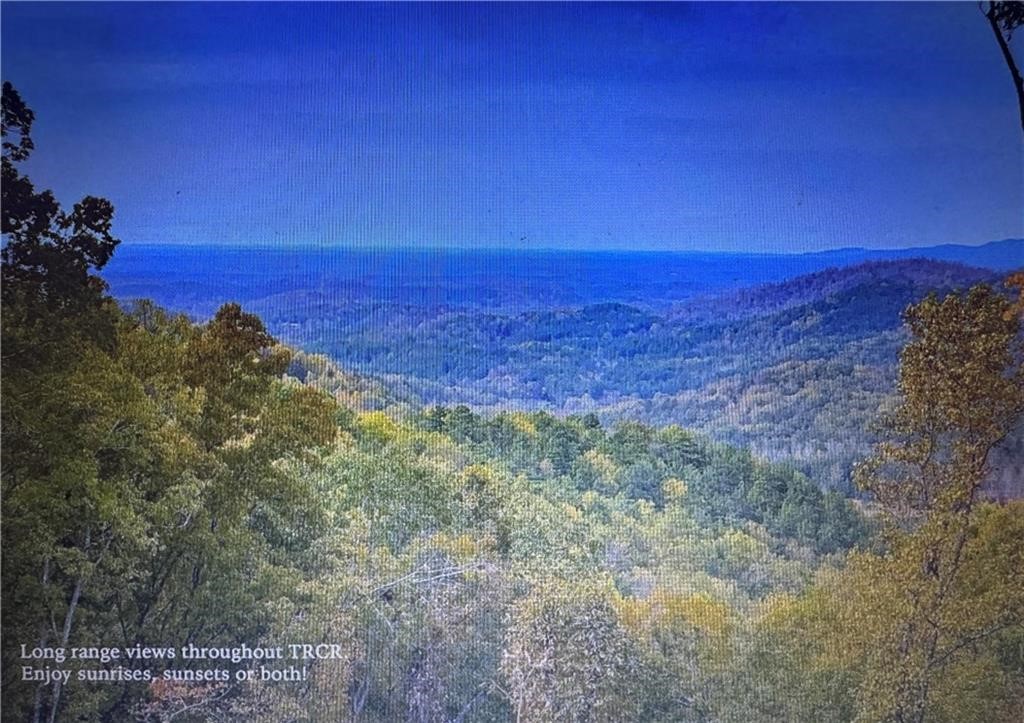 1358 Hunter Drive Ranger, GA 30734 - Photo 2 of 8