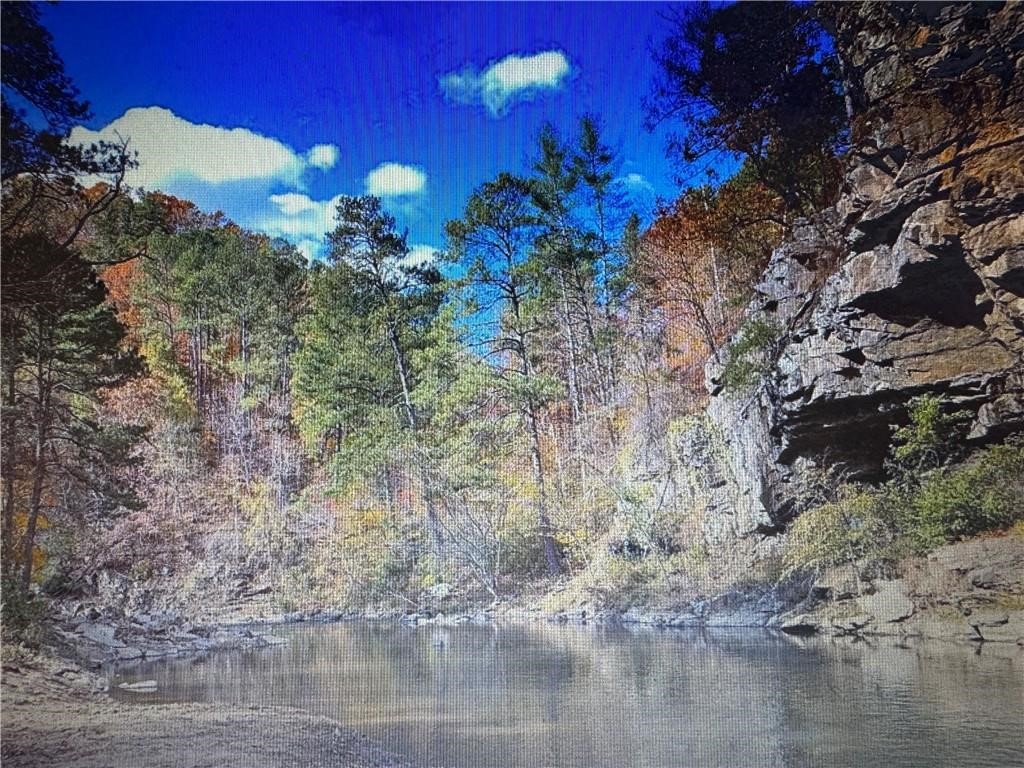 1358 Hunter Drive Ranger, GA 30734 - Photo 4 of 8