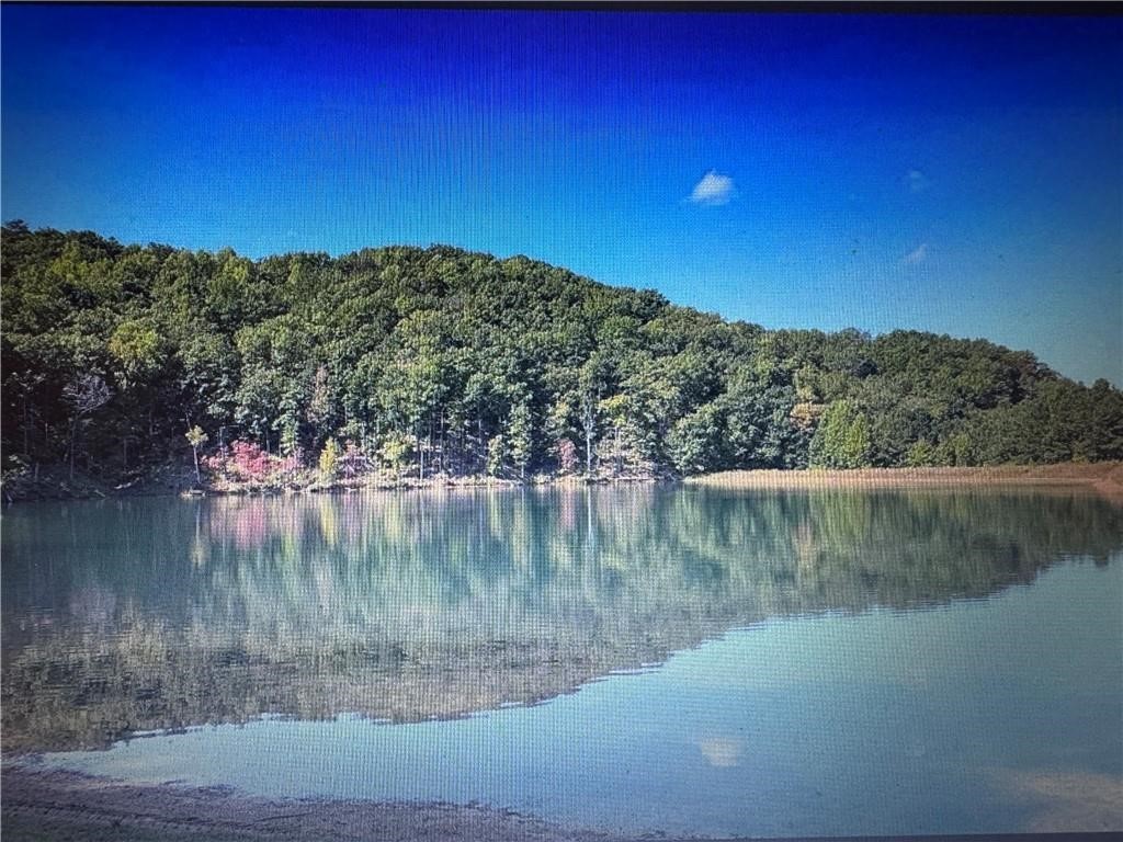 1358 Hunter Drive Ranger, GA 30734 - Photo 5 of 8