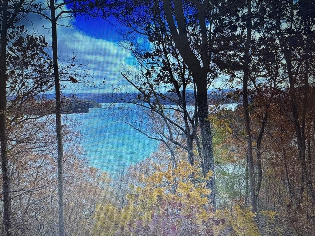 1358 Hunter Drive Ranger, GA 30734 - Photo 6 of 8