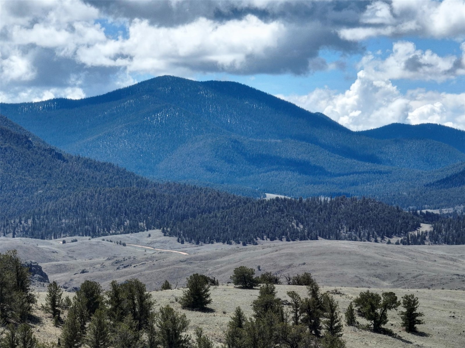 114 Eagle Rock Road Jefferson, CO 80456 - Photo 8 of 16 Mountain view