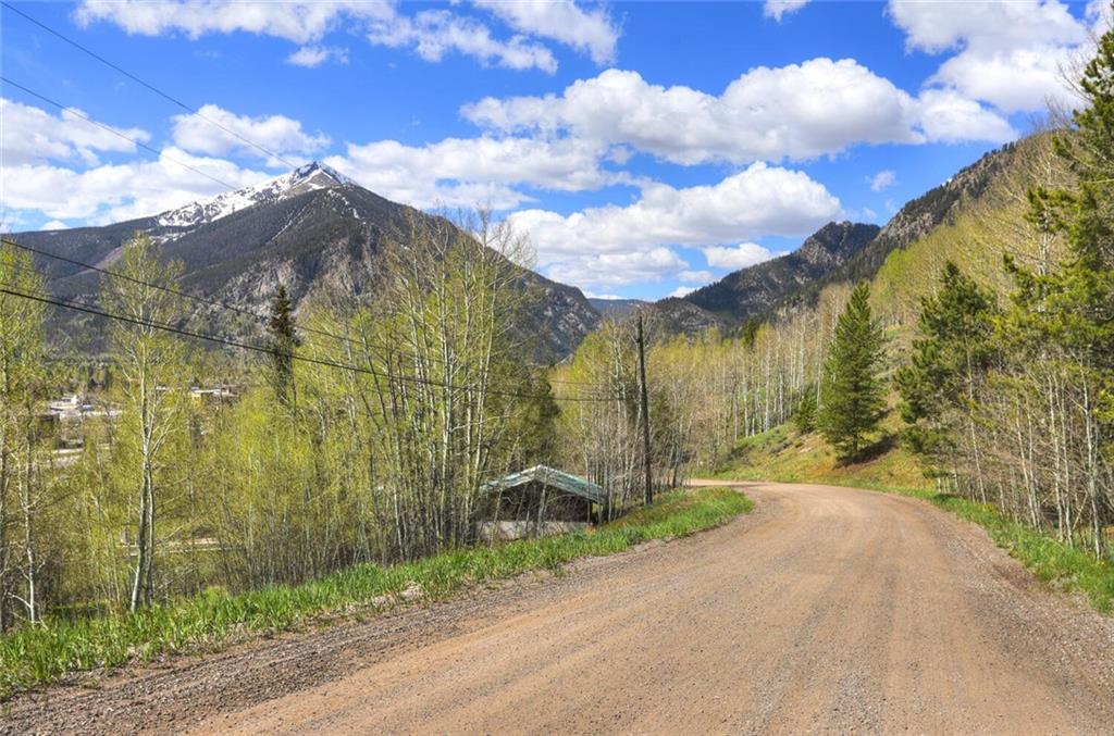 33 Giberson Road Frisco, CO 80443 - Photo 2 of 9 a view of a backyard