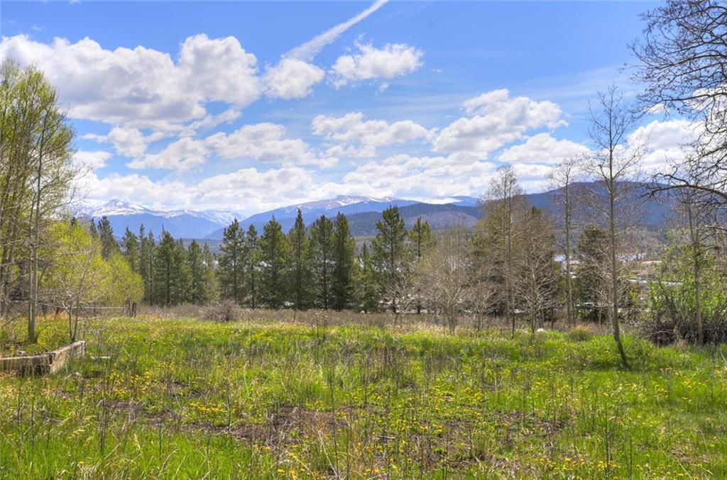 33 Giberson Road Frisco, CO 80443 - Photo 4 of 9 a view of an outdoor space and a yard